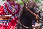 event-4th-of-july-alameda-2013-horse-riders-04