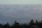sterling-1079-berkeley-hills-view-fog-blanket-4