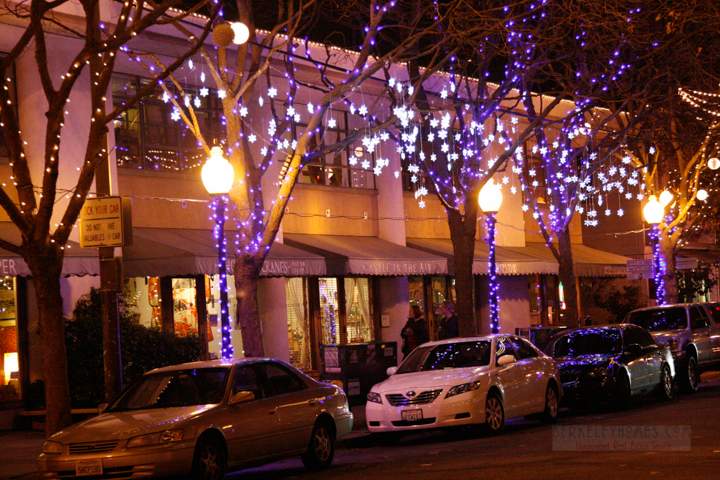 berkeley-ca-fourth-street-holiday-lights-2