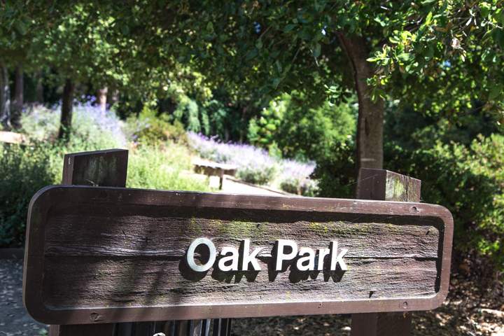 berkeley-ca-claremont-neighborhood-park-oak-park