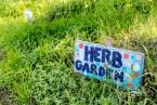 berkeley-california-north-edible-school-yard-signs-martin-luther-king-junior-high-school-1781-rose-street-signs-herb-garden-2