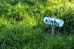 berkeley-california-north-edible-school-yard-signs-martin-luther-king-junior-high-school-1781-rose-street-signs-mint