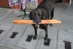 berkeley-north-dog-baguette-2