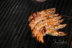 berkeley-north-gregoires-food-shrimp-1