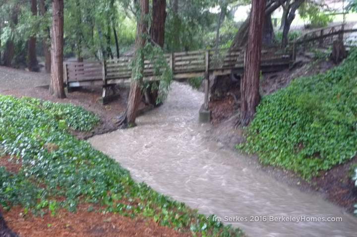 berkeley-california-north-live-oak-park-codornices-creek-heavy-rain-torrent-1