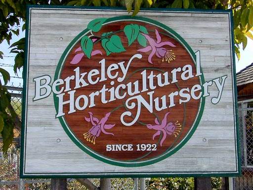 berkeley-ca-northbrae-westbrae-neighborhood-berkeley-horticultural-nursery-1310-mcgee-1