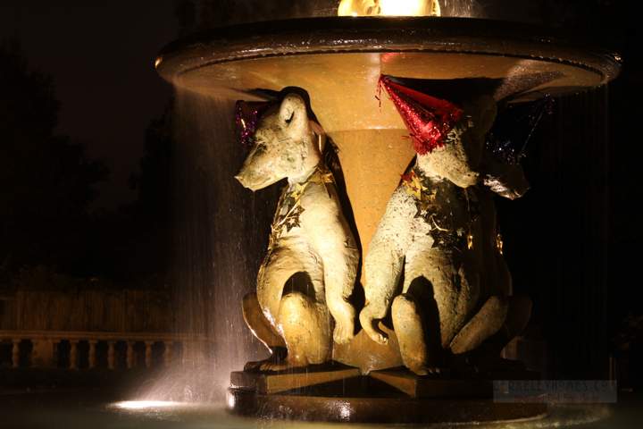 fountain-bears-night-2