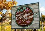 berkeley-ca-northbrae-westbrae-neighborhood-berkeley-horticultural-nursery-1310-mcgee-7