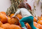 berkeley-california-northbrae-westbrae-neighborhood-produce-monterey-market-1550-hopkins-pumpkins-halloween-kid-1-3