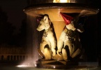 fountain-bears-night-2