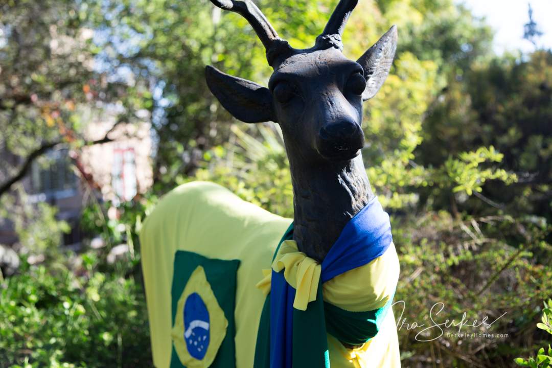 berkeley-ca-thousand-1000-oaks-neighborhood-home-deer-world-cup-brazil-flag-1