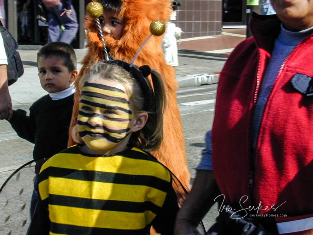 berkeley-ca-thousand-1000-oaks-neighborhood-people-halloween-kid-bee