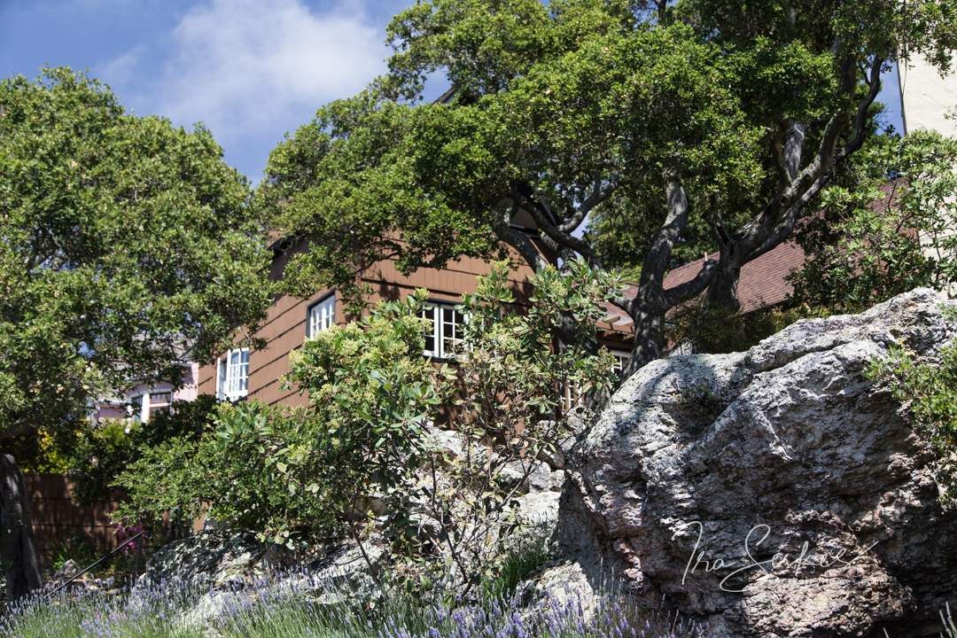 Berkeley Thousand Oaks A Home on the rocks