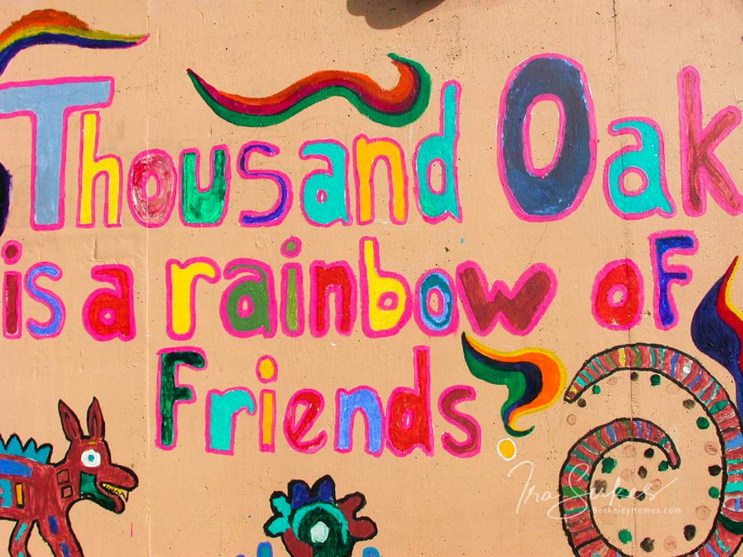 berkeley-ca-thousand-1000-oaks-neighborhood-thousand-oaks-school-840-colusa-school-mural-rainbow-of-friends