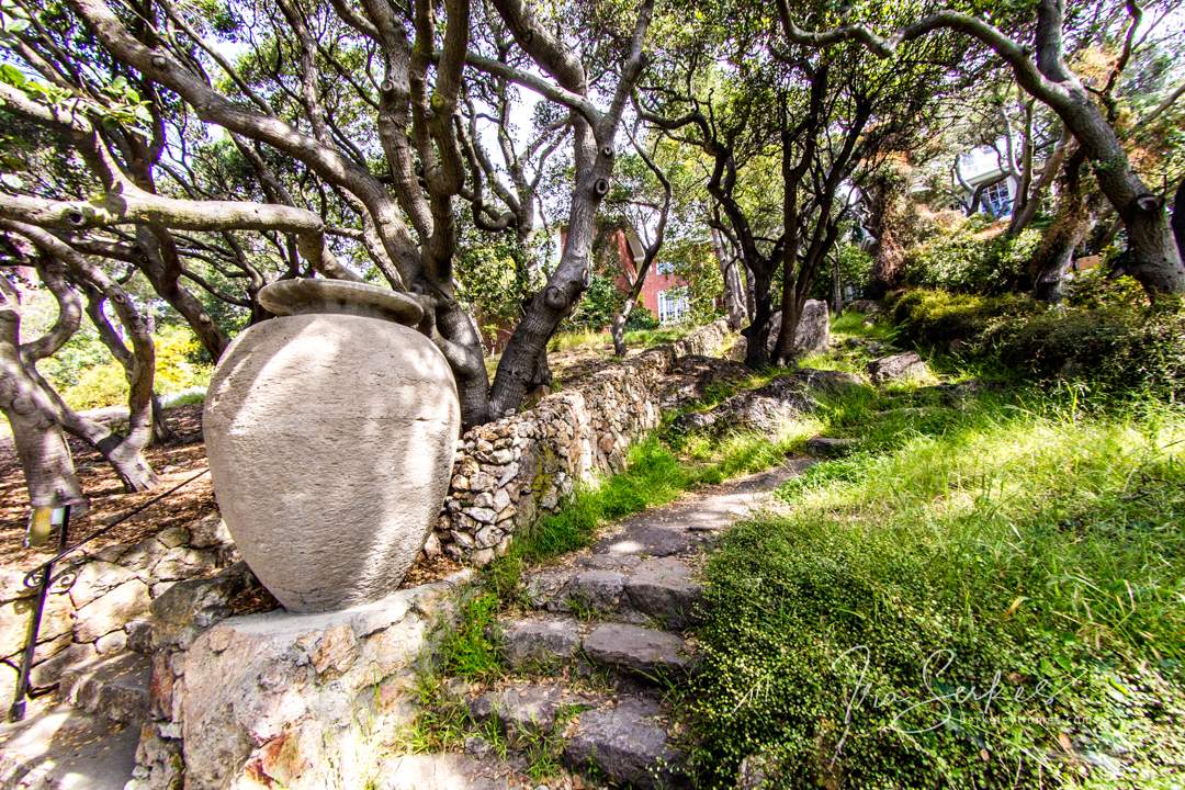 Berkeley Thousand Oaks Urn