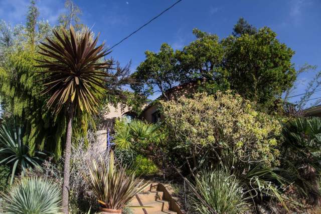 berkeley-ca-thousand-1000-oaks-neighborhood-homes-b-04