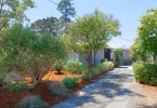 1-albina-1312-1314-northbrae-berkeley-neighborhood-exterior-front-1