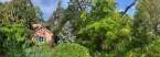 0-milvia-1236-north-berkeley-neighborhood-garden-0-panorama